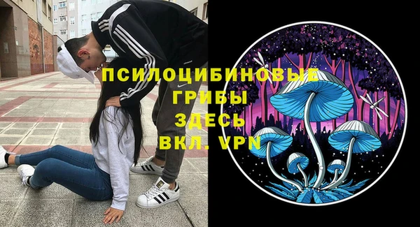 прущие грибы Волгодонск