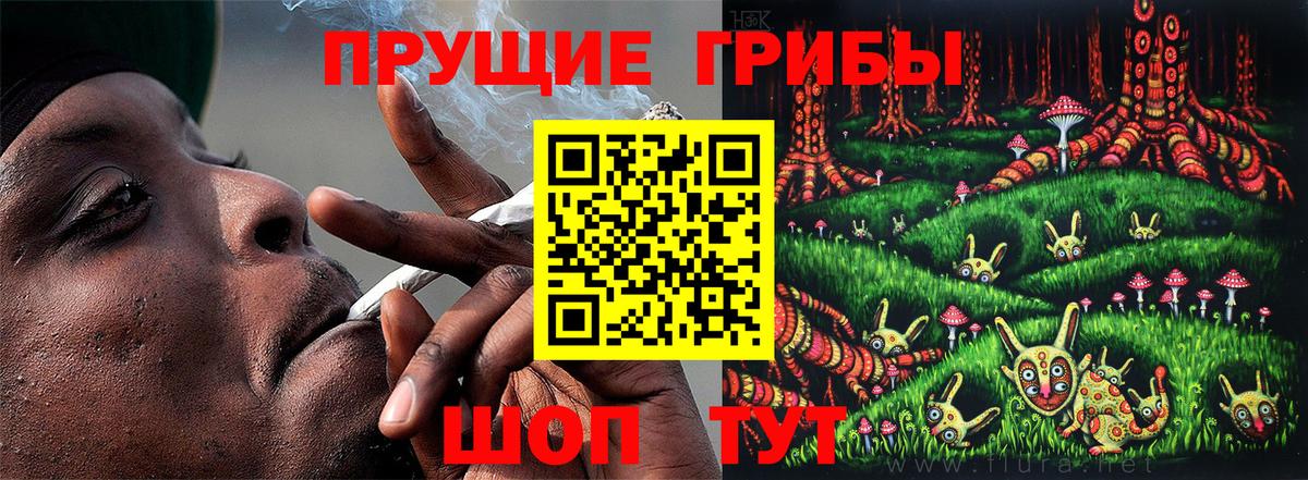 Лсд 25 Вологда