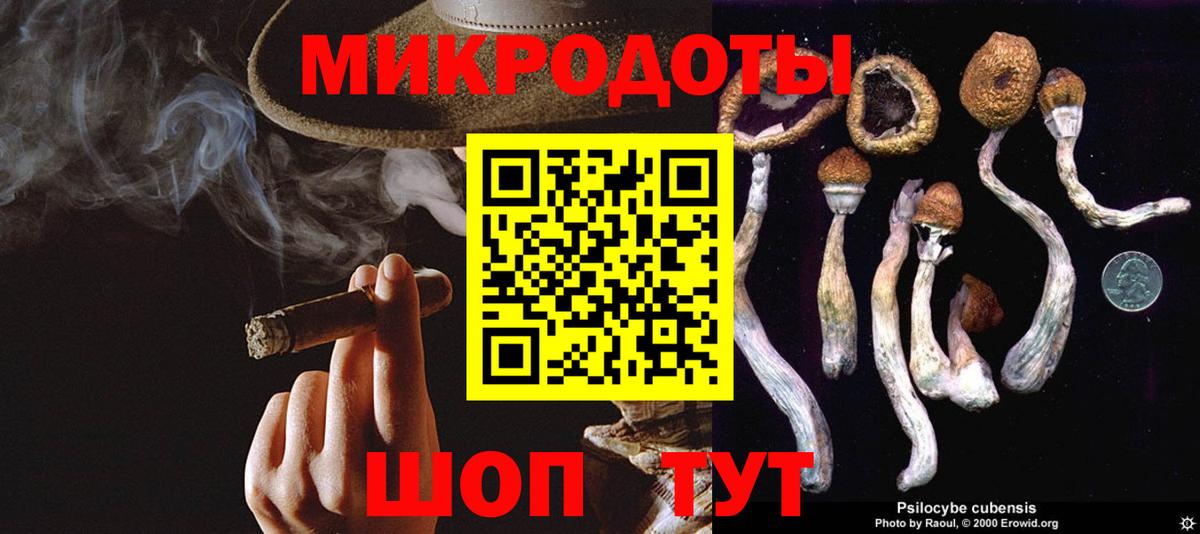 Псилоцибиновые грибы Cubensis  где можно купить наркотик  Вход с VPN  Вологда  Галлюциногенные грибы мицелий 