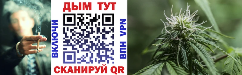 наркота Вологда Каннабис AK-47